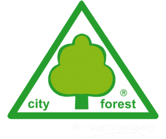 cropped-logo-3.png